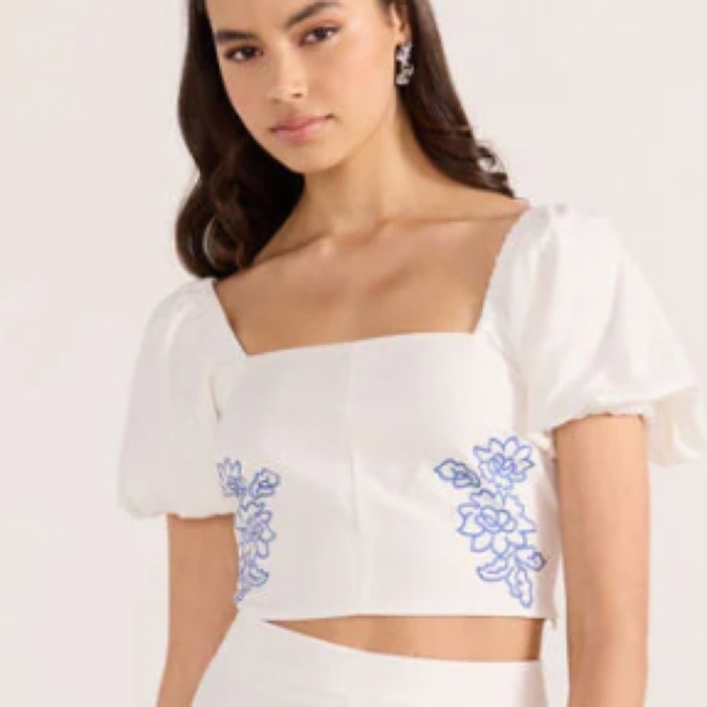 NWT!! Mink Pink Sonnet Top Blue and White